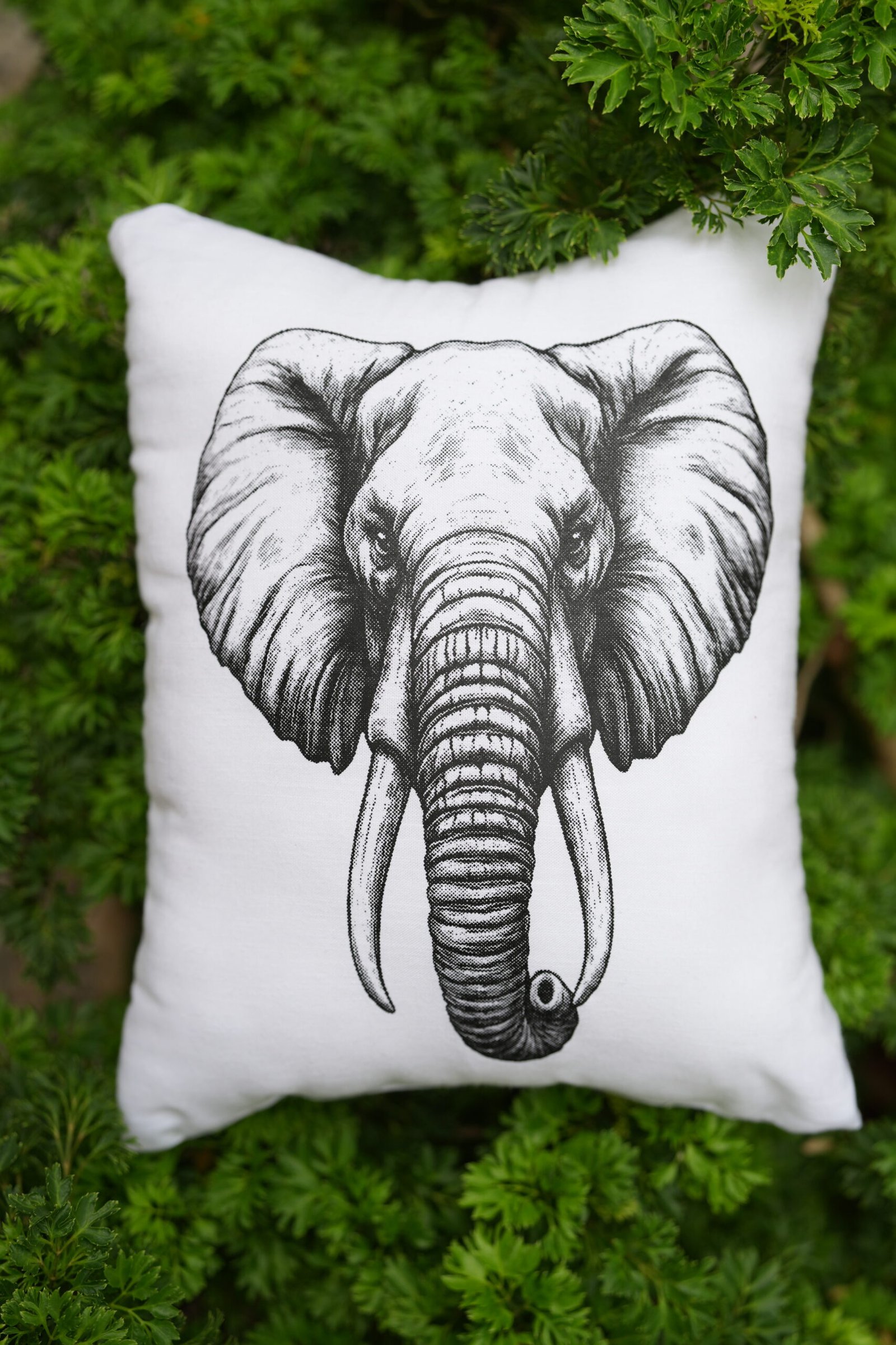 ELEPHANT PRINT CUSHION